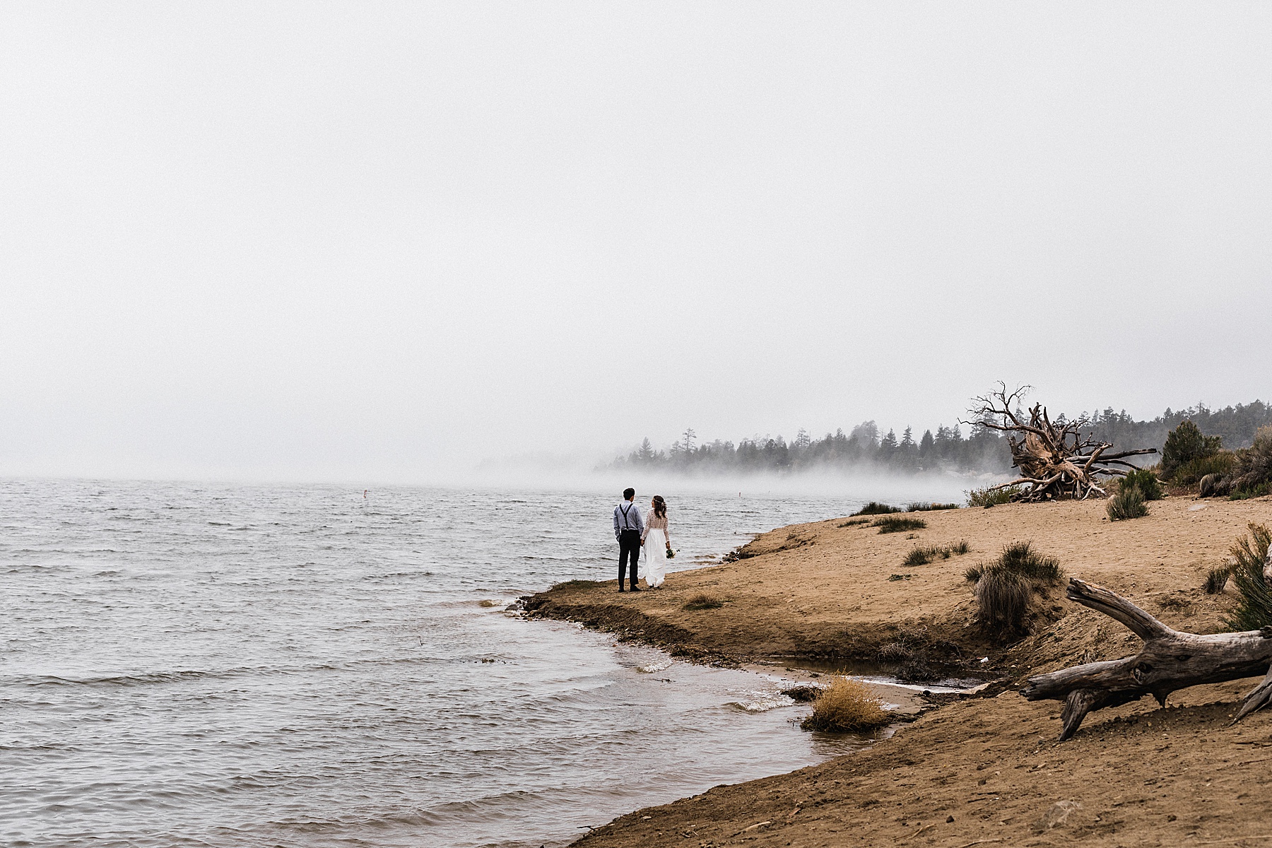 California Forest Intimate Wedding | Vow of the Wild