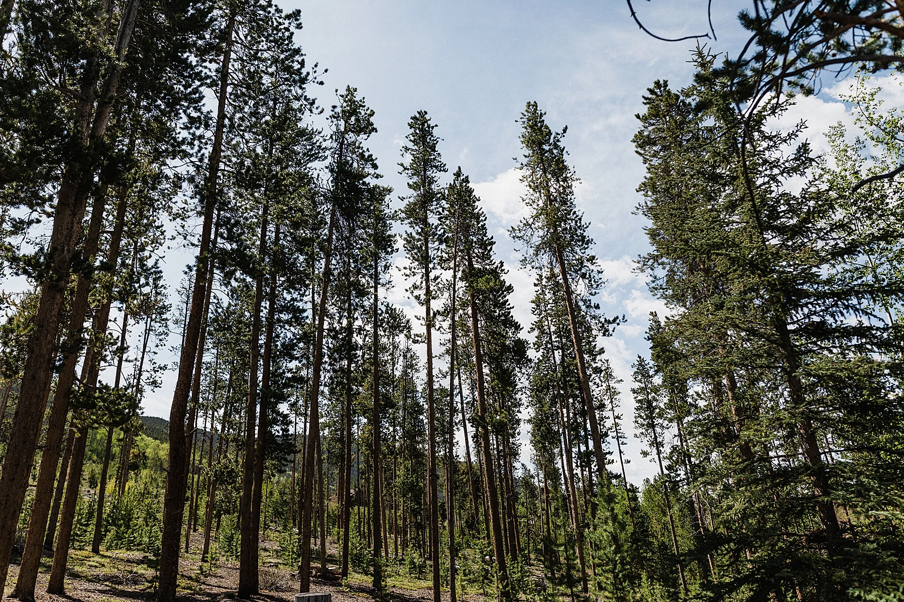 Breckenridge Intimate Wedding | Colorado Elopement Photographer + Videographer | Vow of the Wild