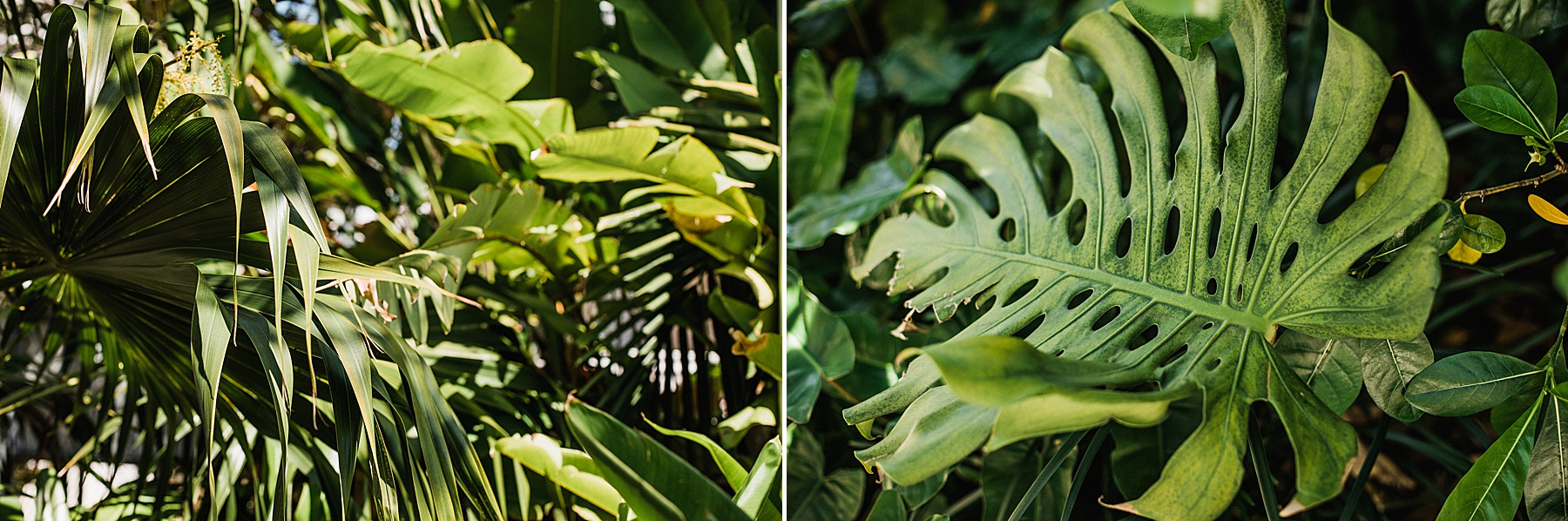 Key West Elopement Photographer
