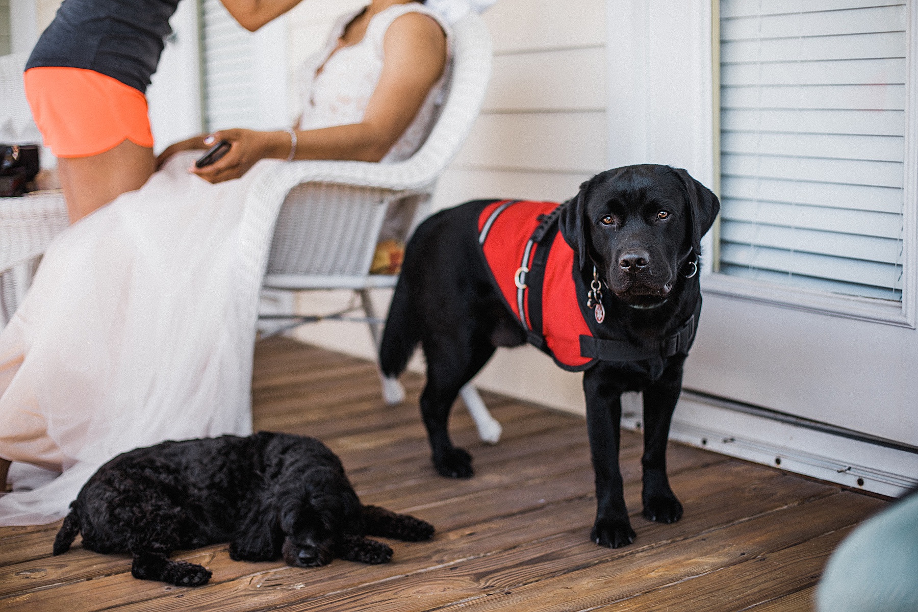 Key West Elopement Photographer