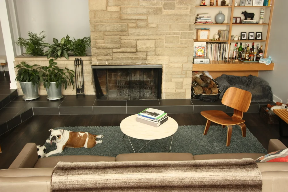 Kapan-Shipman-MidCentury-Remodel-8.jpg
