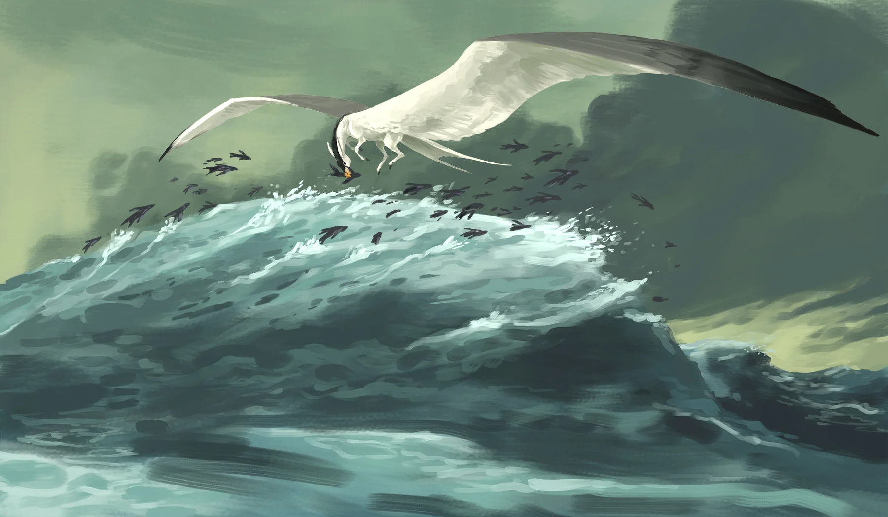 hunting on the swells 002 - web tiny.jpg
