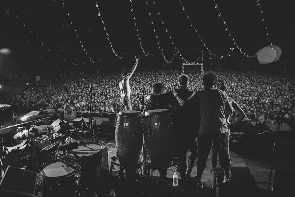 ⌃ Gogol Bordello