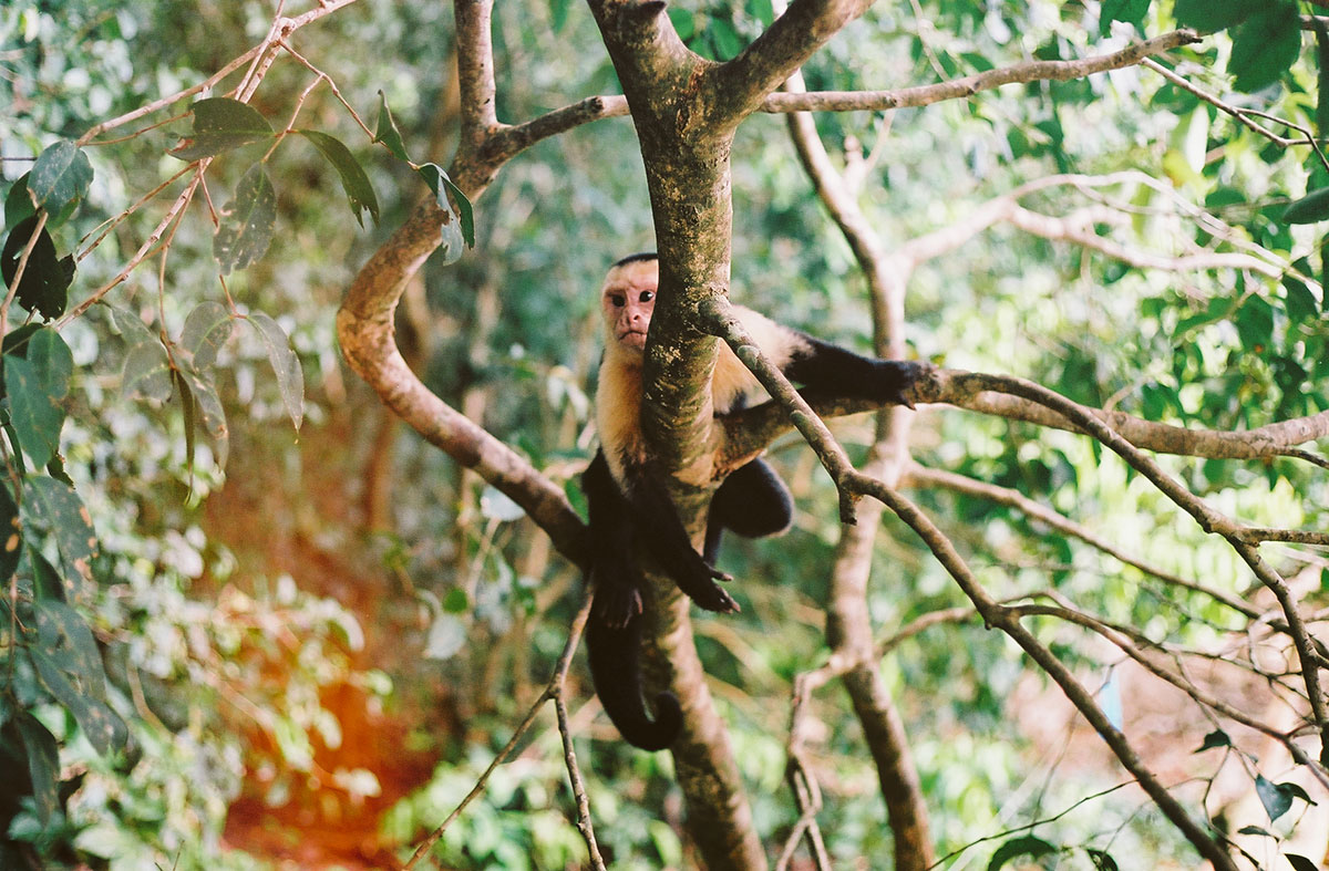 Costa Rica