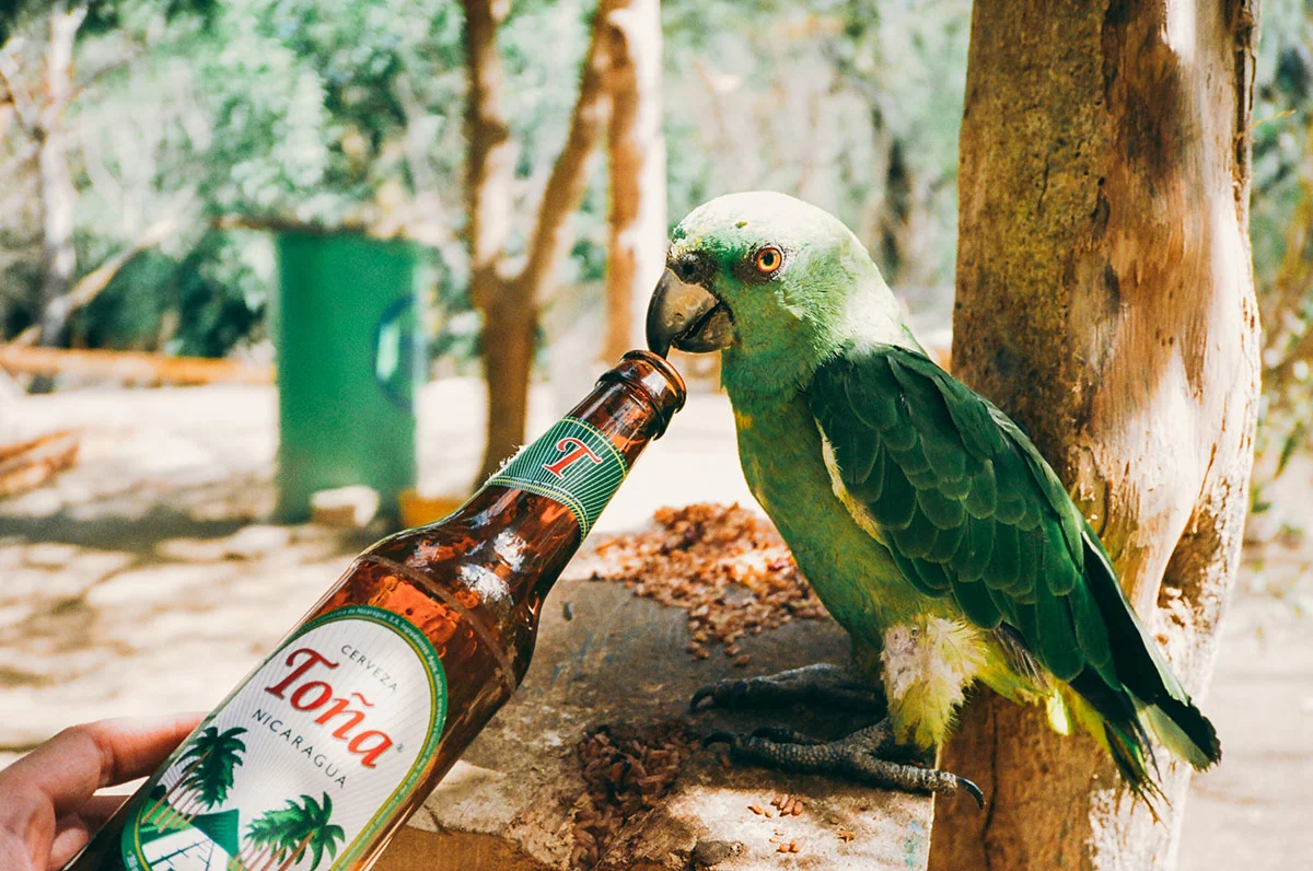 Nicaragua