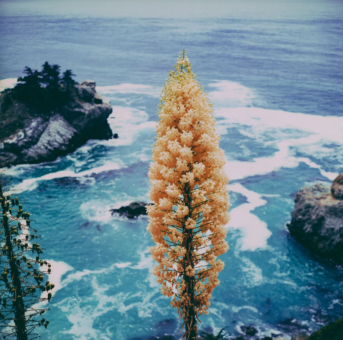 Big Sur, California