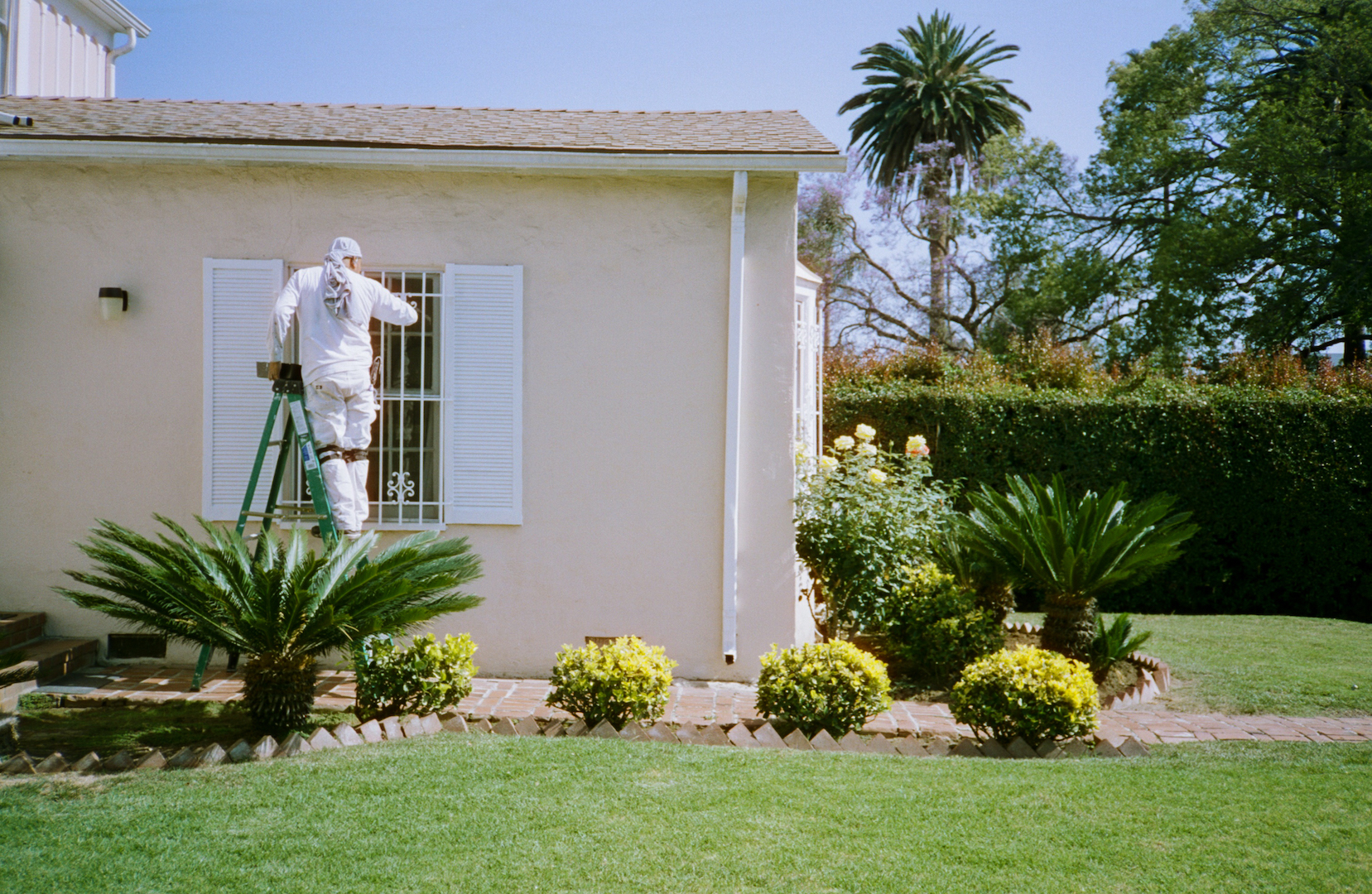 Willoughby Ave. L.A. CA. Cinestill 50D