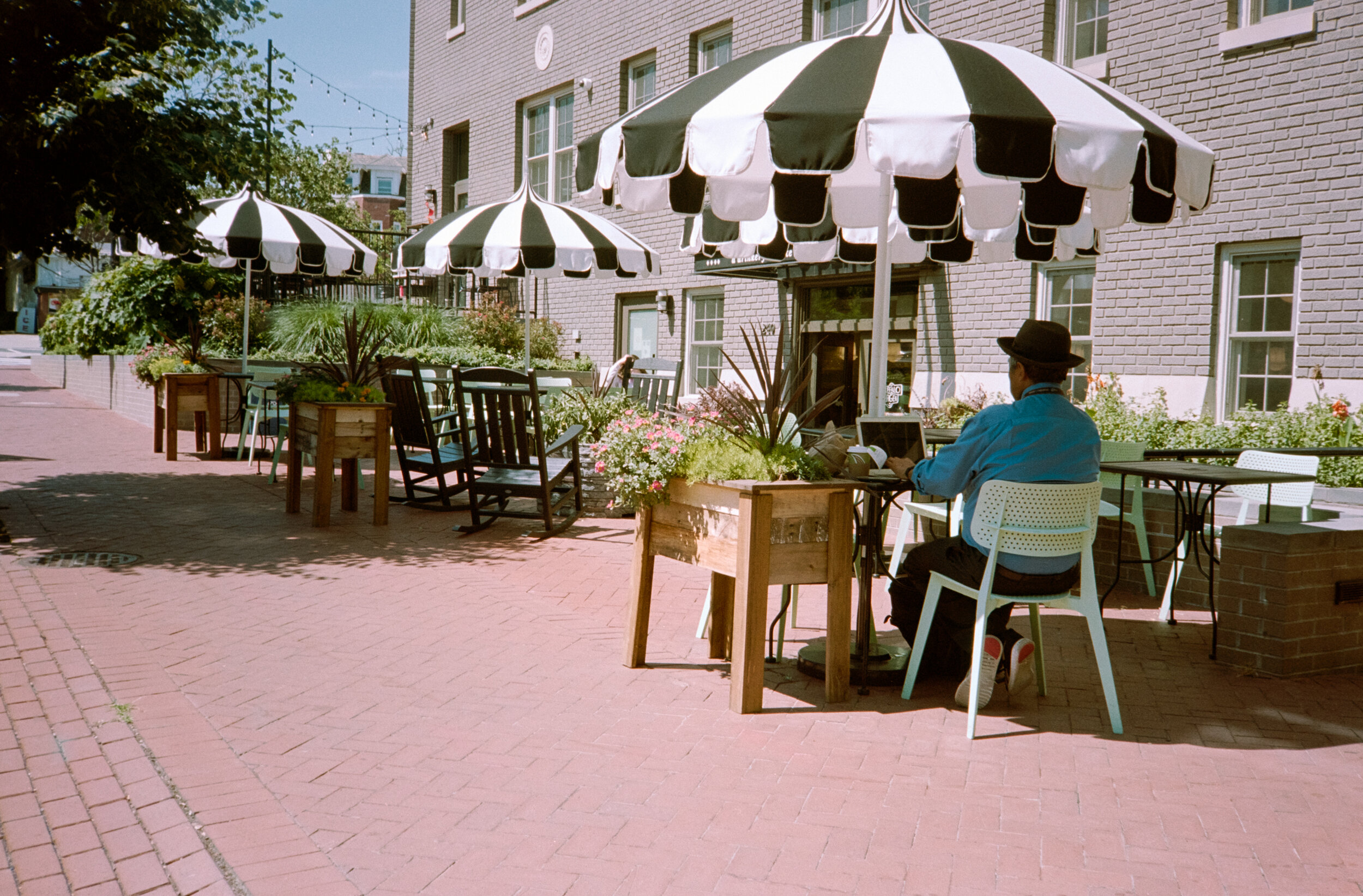 Massachusetts Ave. Washington DC, Kodak Portra 160