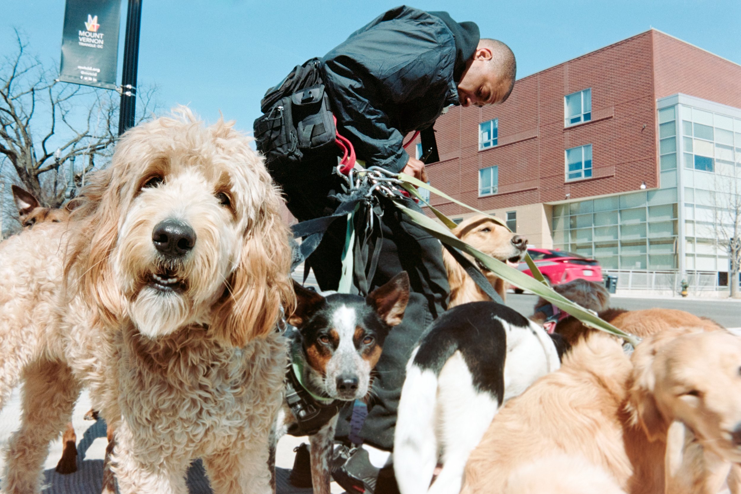 1st St. Washington DC, Kodak Portra 160