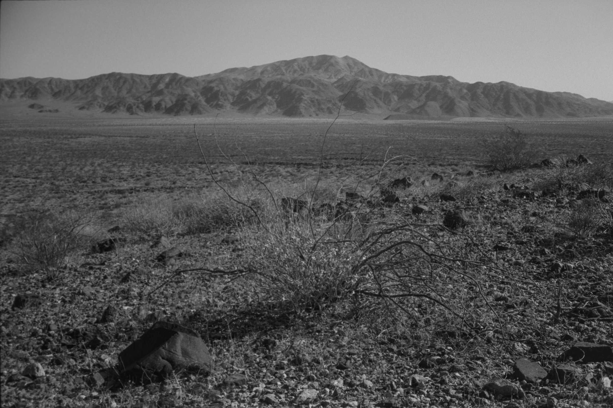 JTNP Ca. 2021, Ilford Ortho 80+