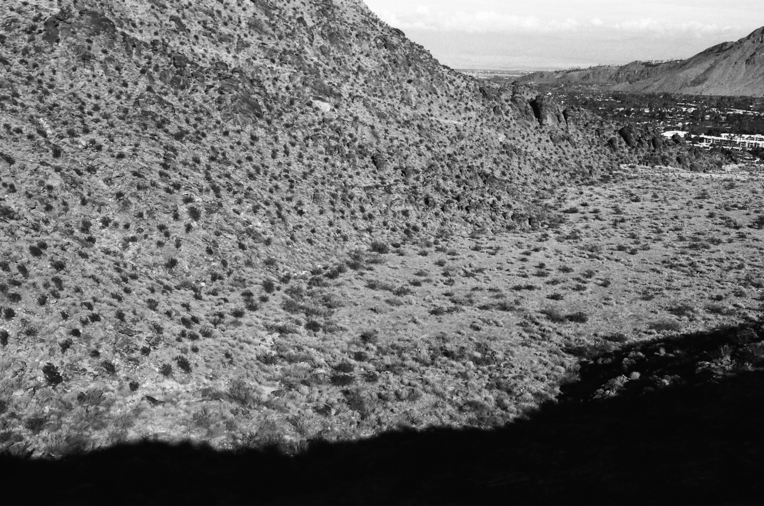 Palm Springs Ca. 2023, lford Delta 100