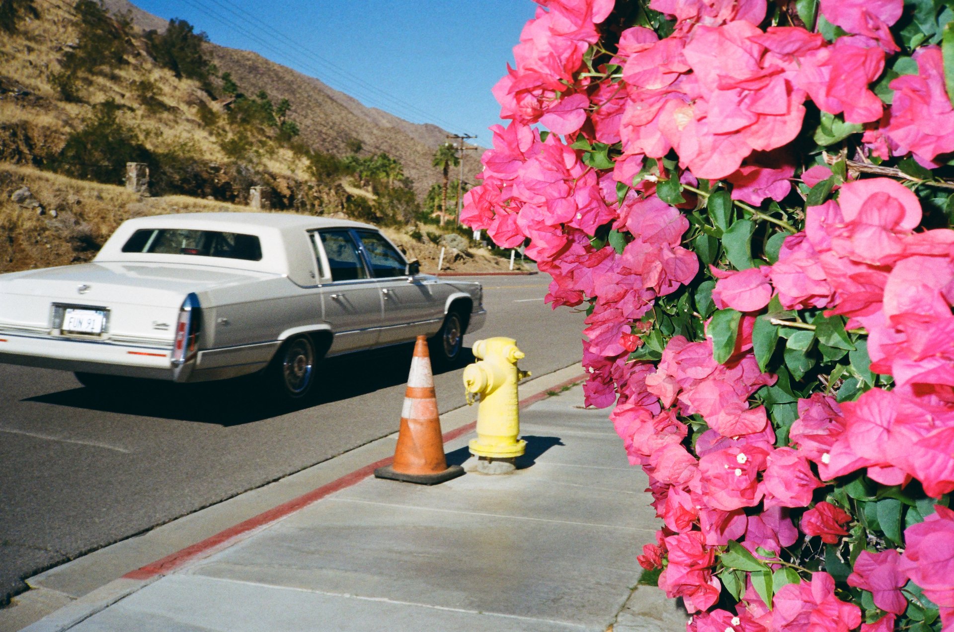 Palm Canyon Dr. Kodak Pro Image 100