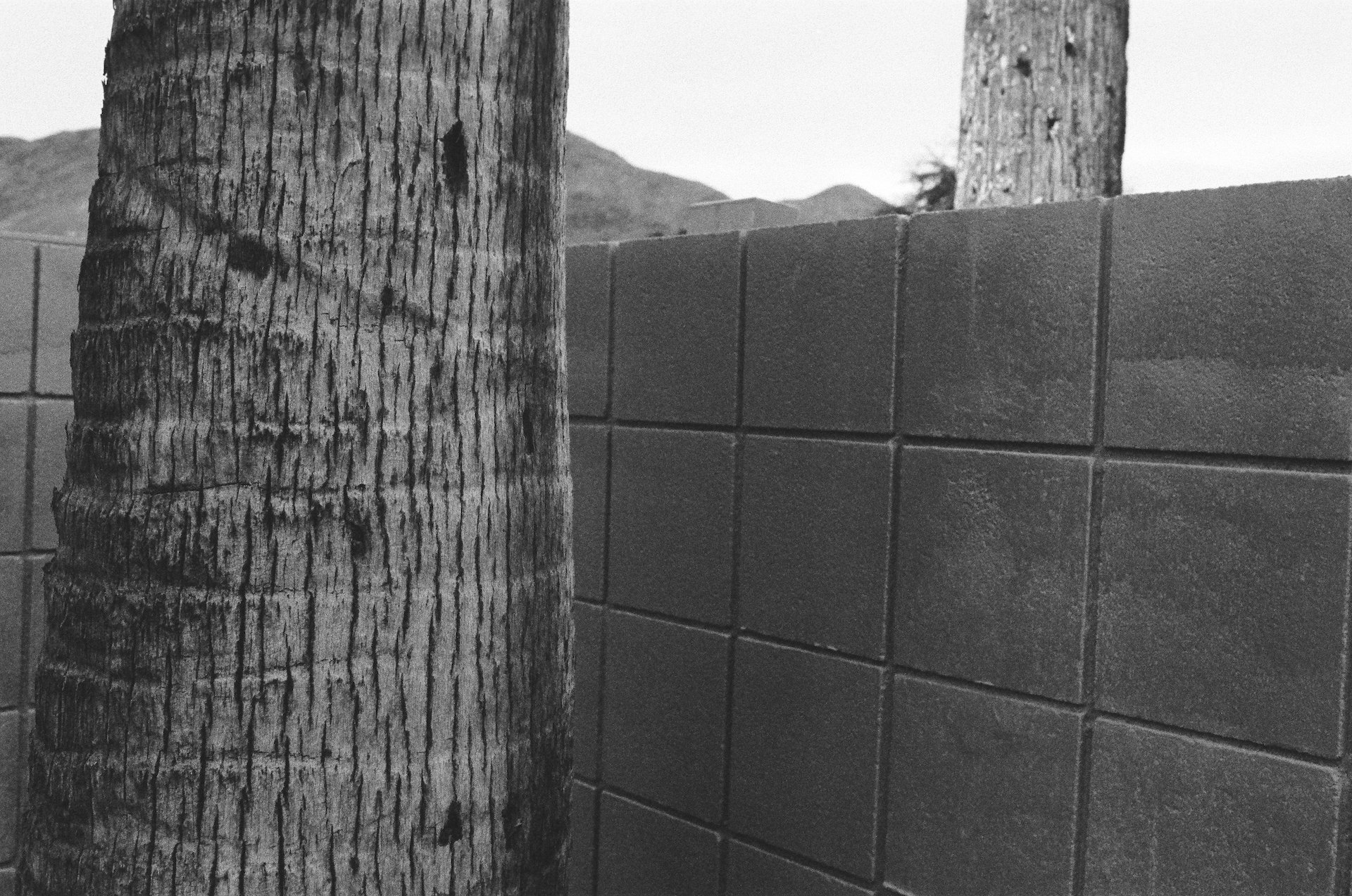 Palm Springs Ca. 2024, Ilford HP5 400