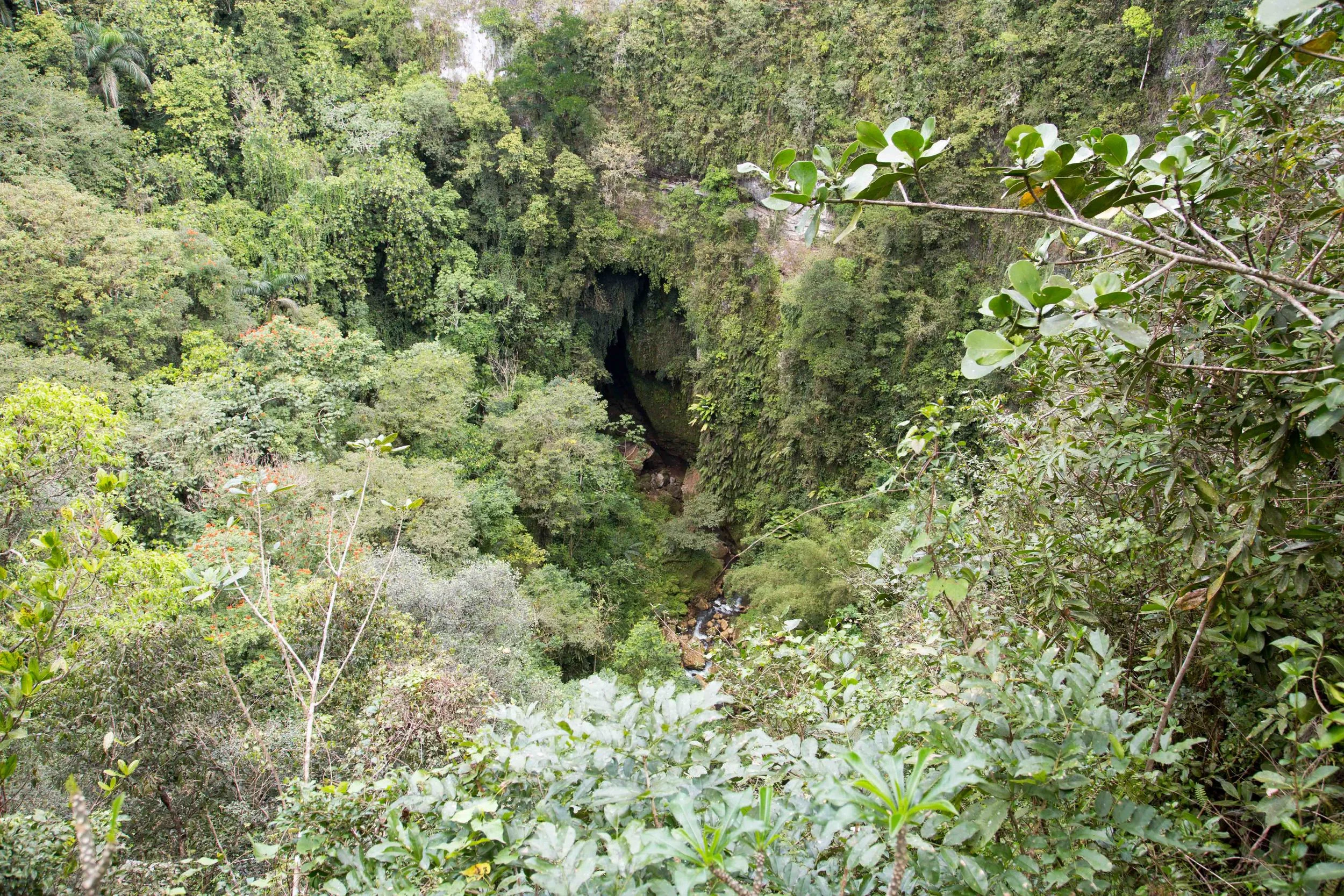 kcm-20140312-3555.jpg