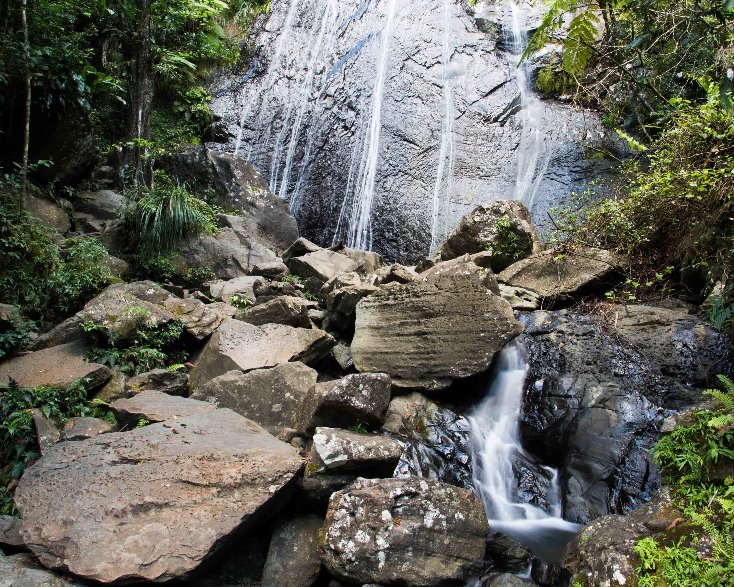 kcm-20140313-3744.jpg
