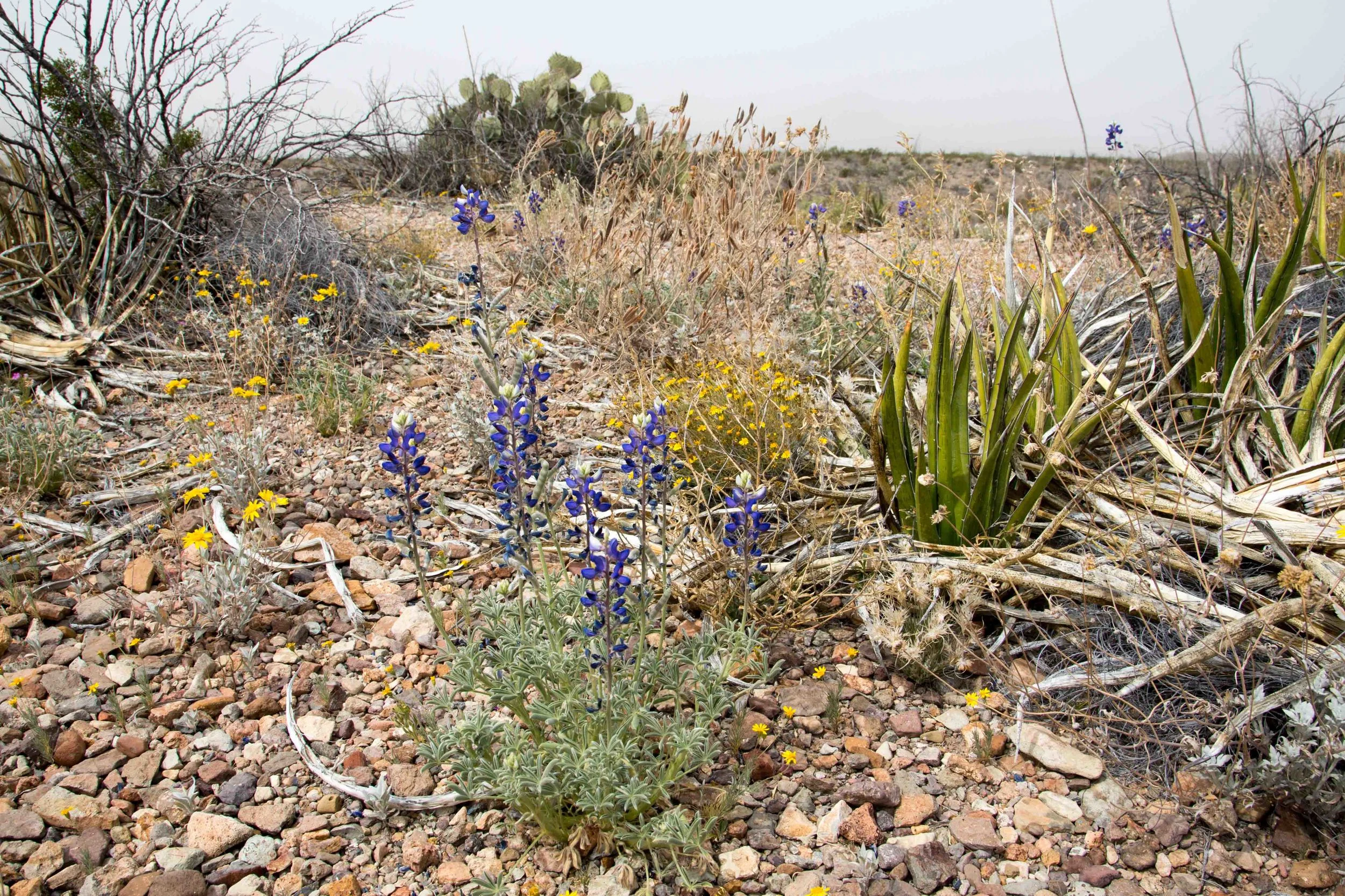 kcm-20140319-3980.jpg