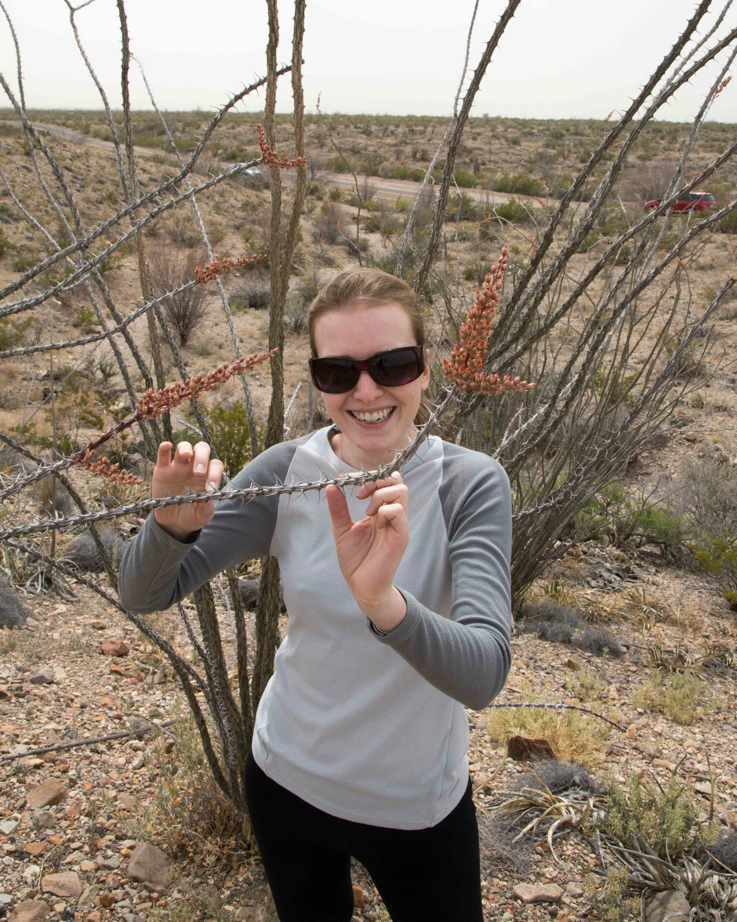 kcm-20140319-4024.jpg