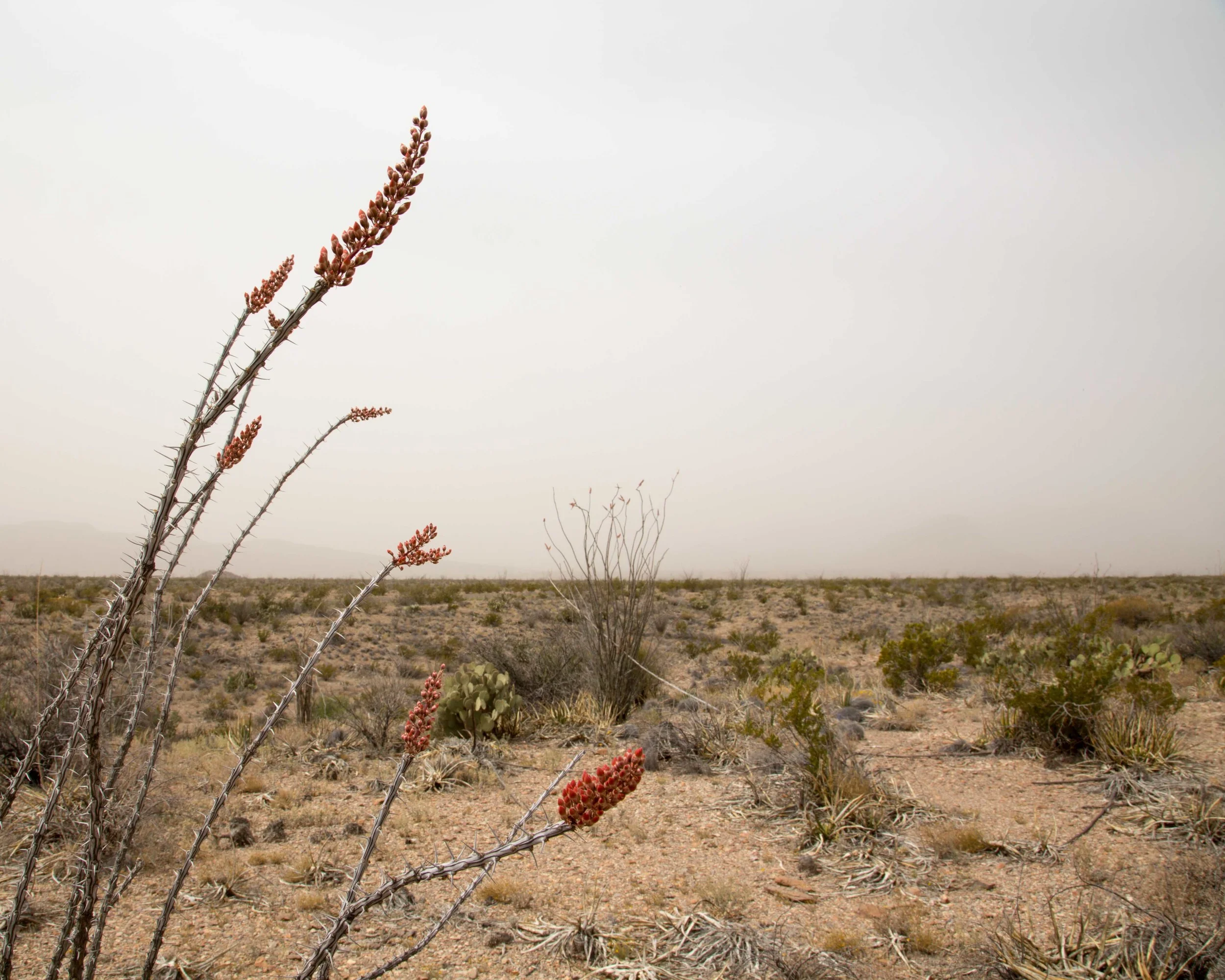 kcm-20140319-4032.jpg