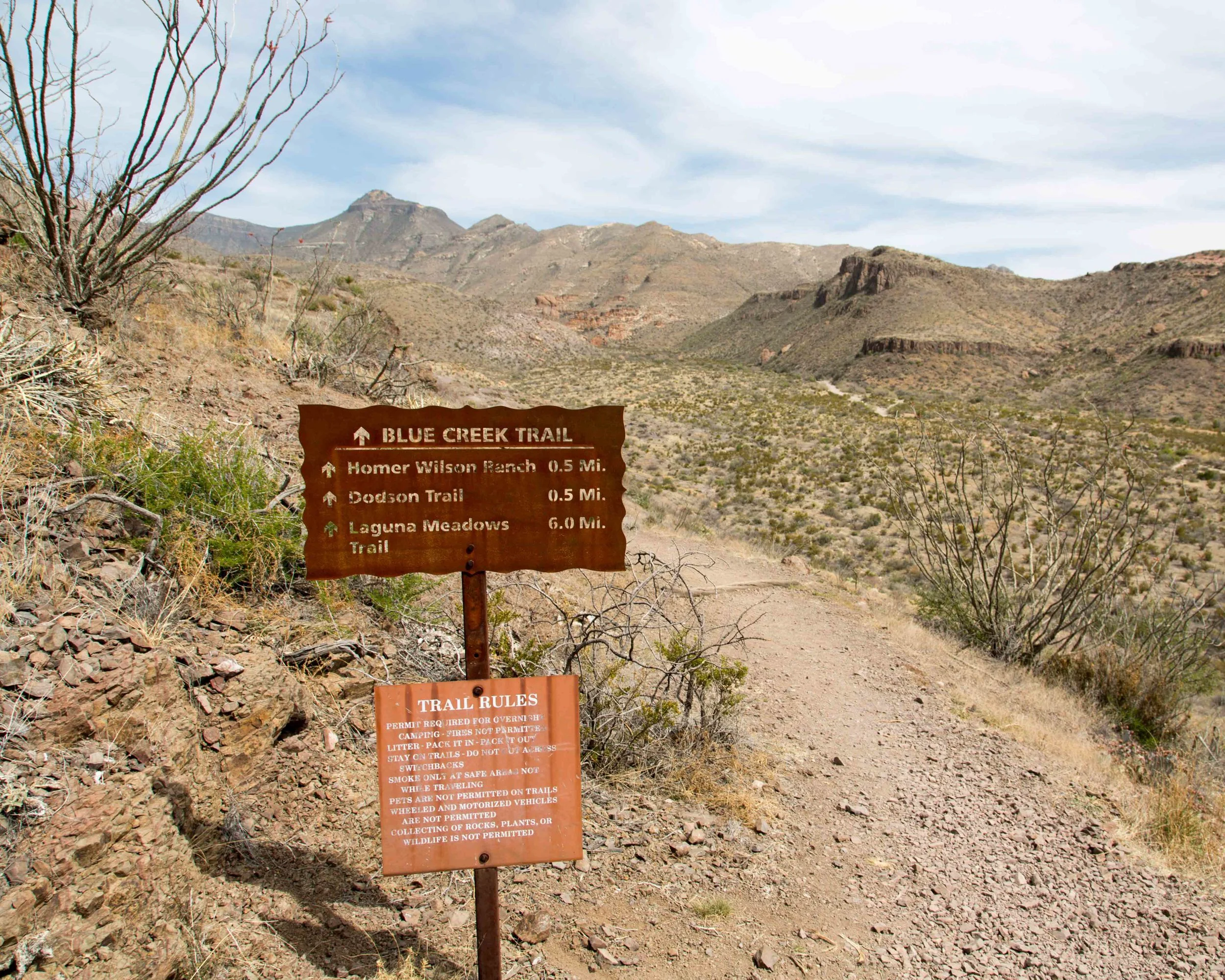 kcm-20140320-4320.jpg