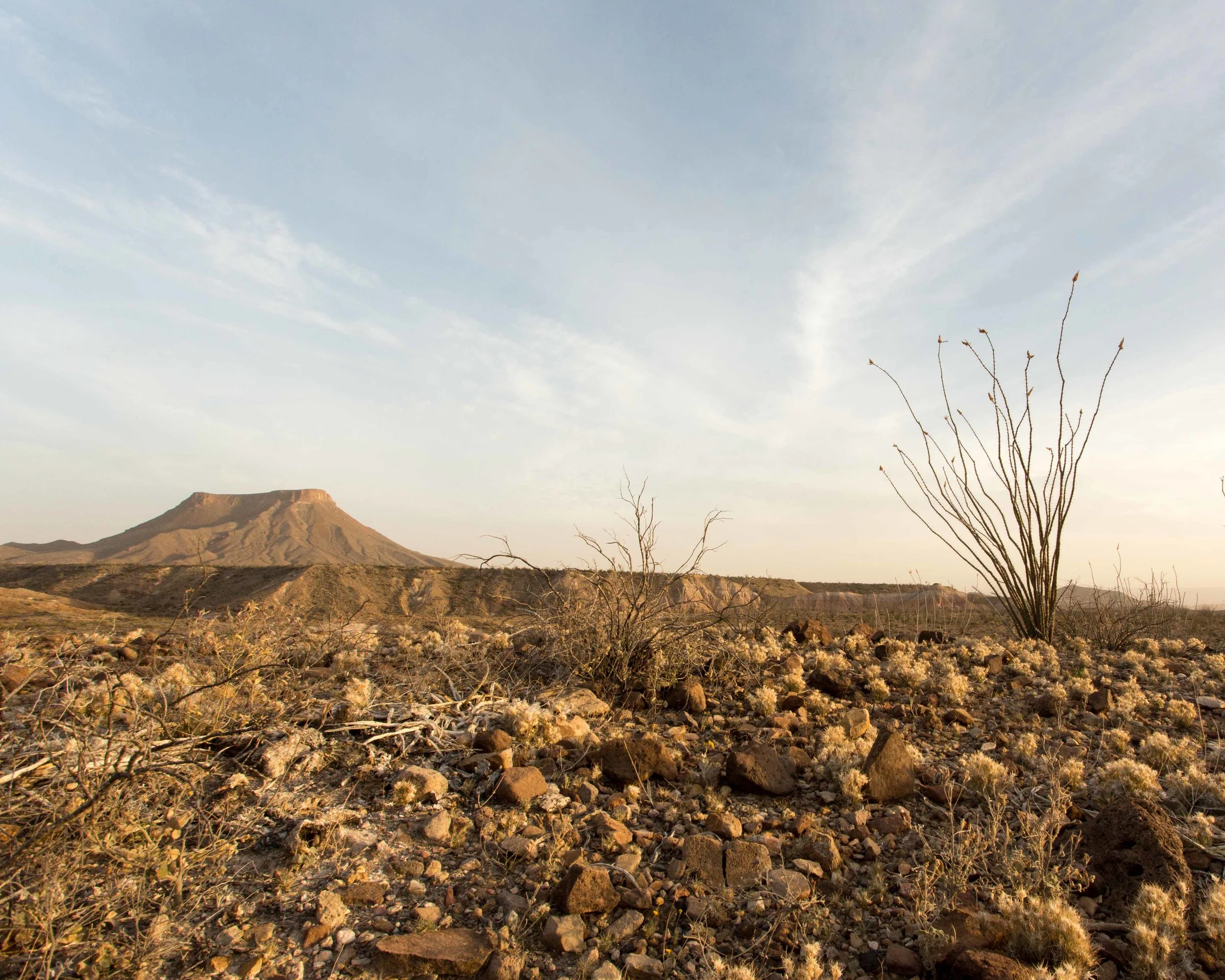 kcm-20140319-4116.jpg