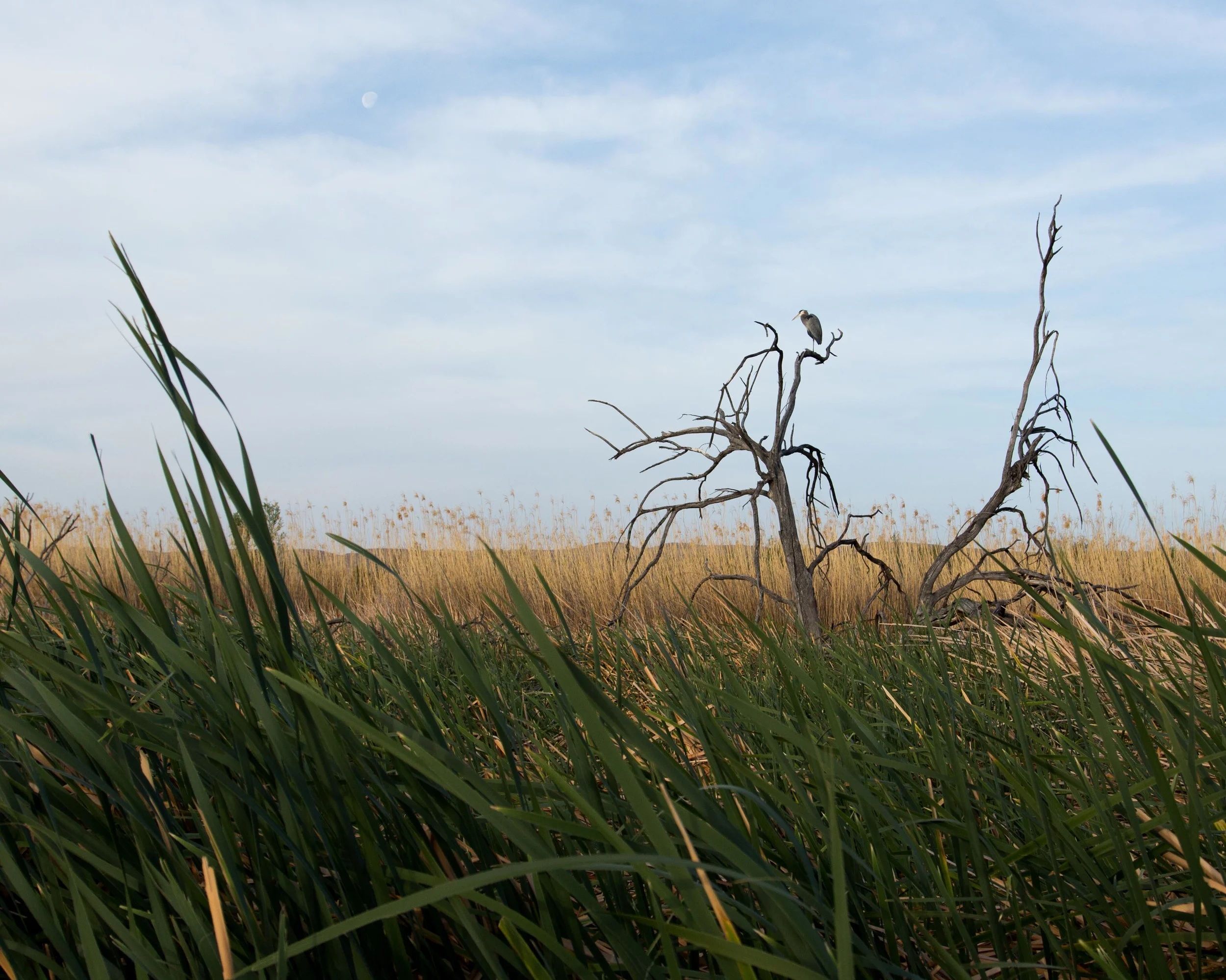 kcm-20140320-4251.jpg