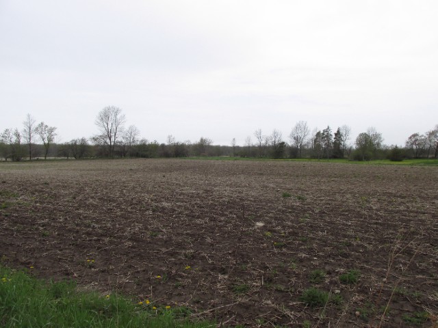 Look at all that land!!