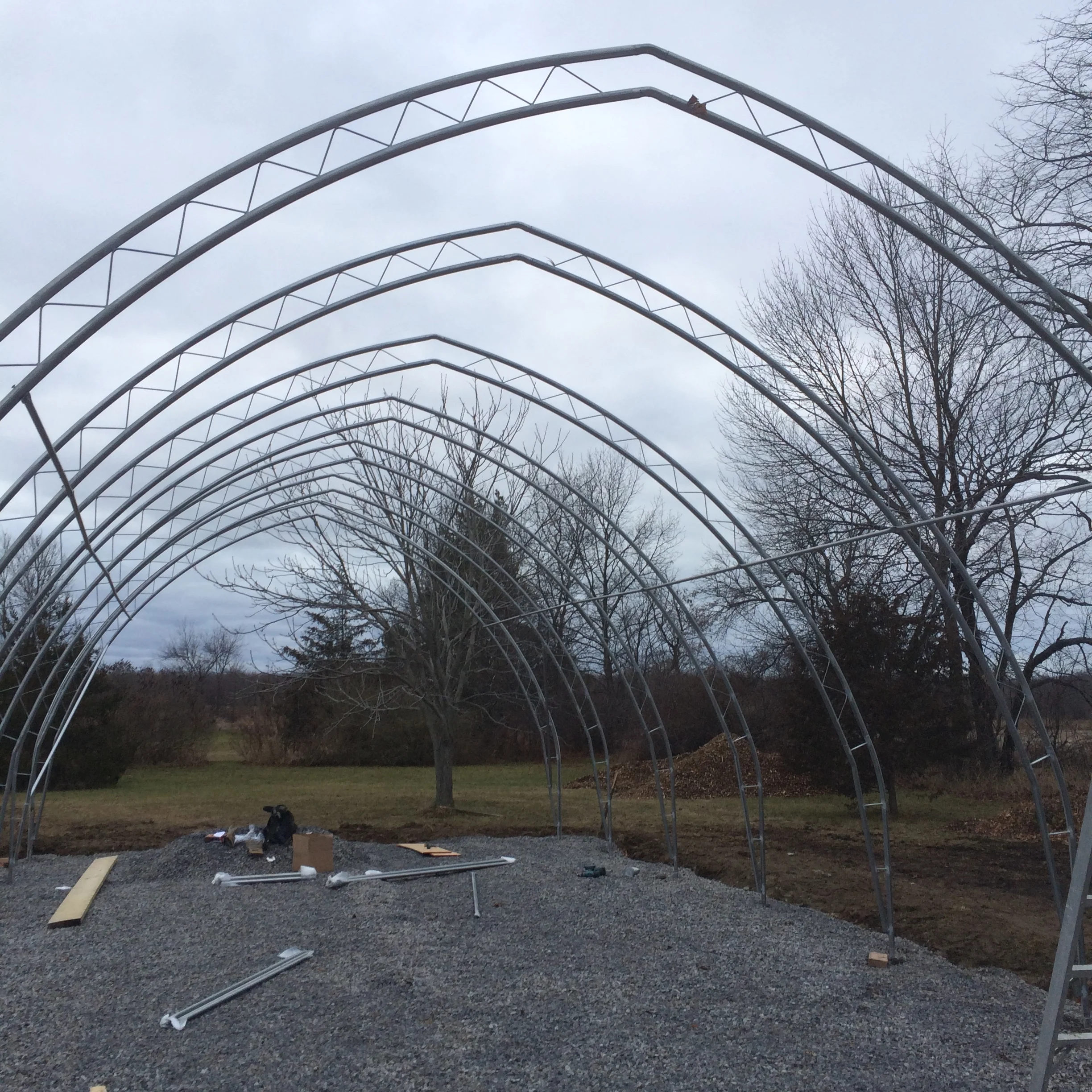 The plastic should be up on the greenhouse next week!