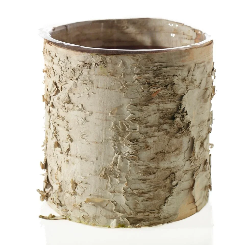 birch vase.jpg