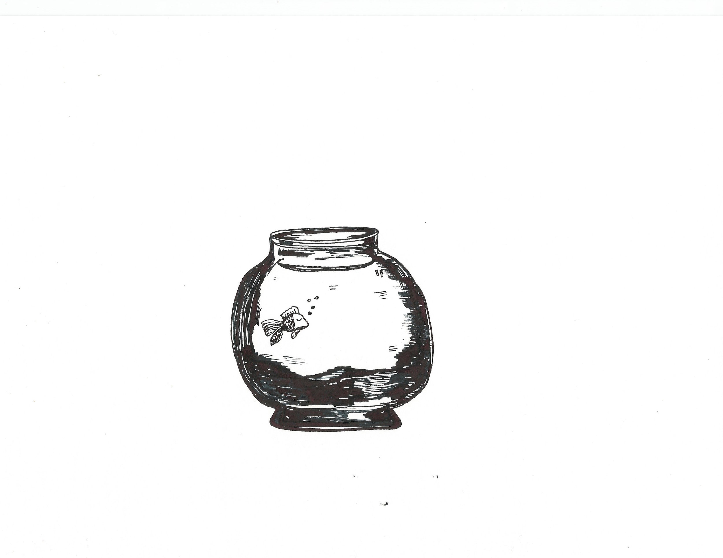Fish.jpeg