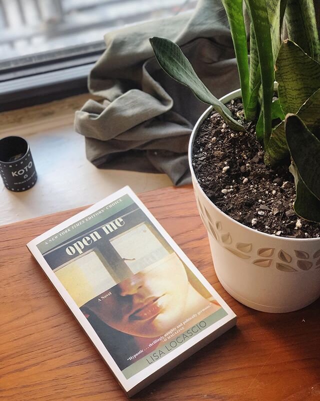 A very unusual story. ✨ About a young woman from Chicago meant to study abroad in Paris with her best friend, but who ends up in rural Denmark with a mysterious man instead. 🇩🇰 Elements of the erotic and even the noir mix together with and against 