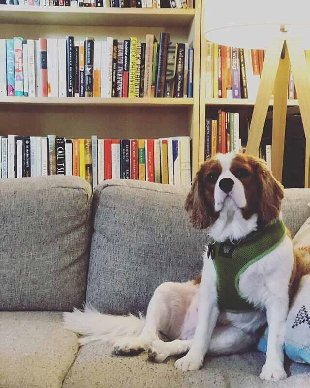 Professor Emeritus 📚