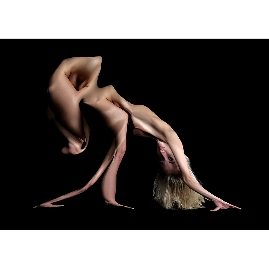 Baby Hippo.jpg