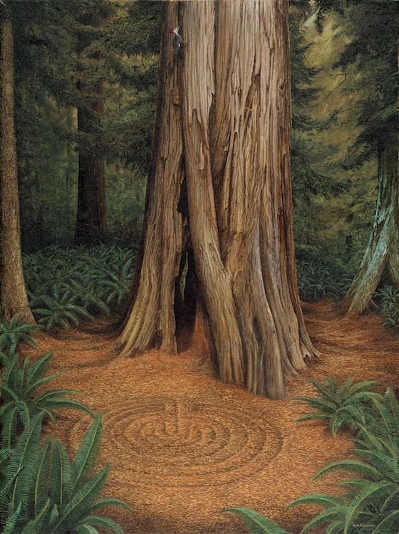 Ancient Cedar750.jpg
