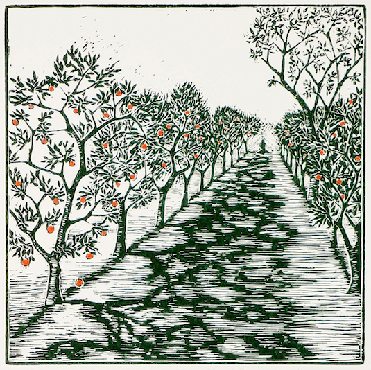 Afternoon in the Orchard linoleum block print