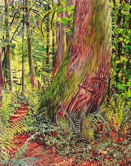 Path by a Cedar.jpg