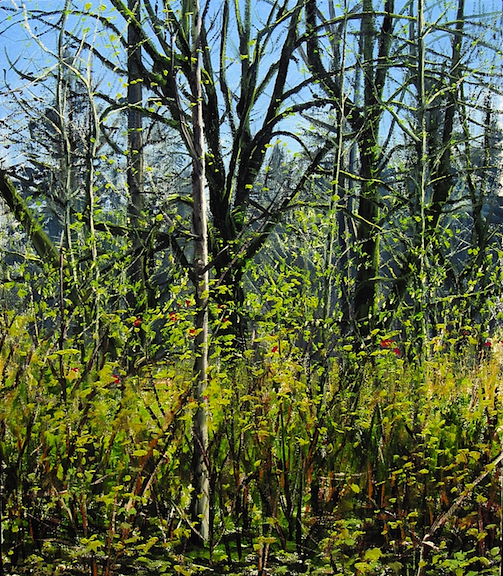 Salmonberry Thicket.jpg