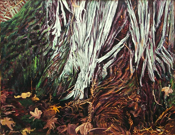 Cedar Root.jpg