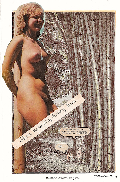 Dry Honey Time (Sloth) collage 6.75 x 10" 