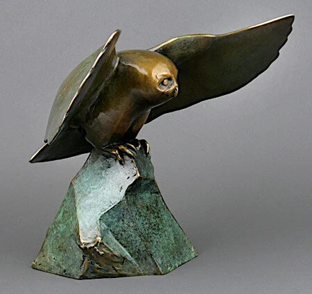 SettlingOwl13-B-V2.jpg