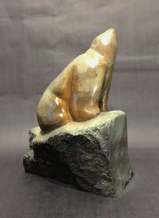 Moon Gazer 2 web.jpeg