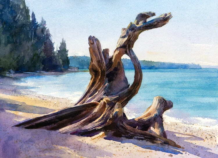 Langley Beach Driftwood 3 web.jpeg