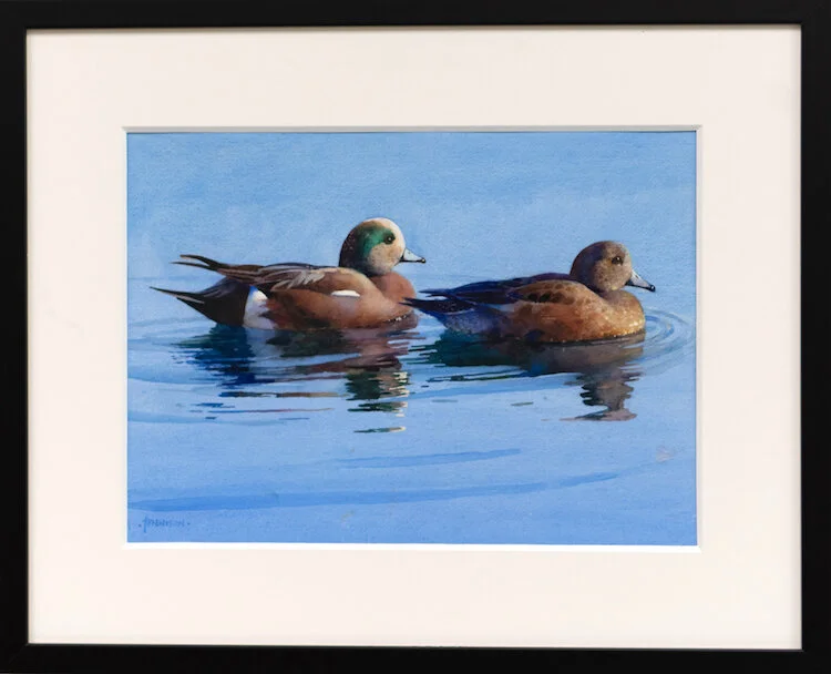 Wigeons Framed web.jpeg