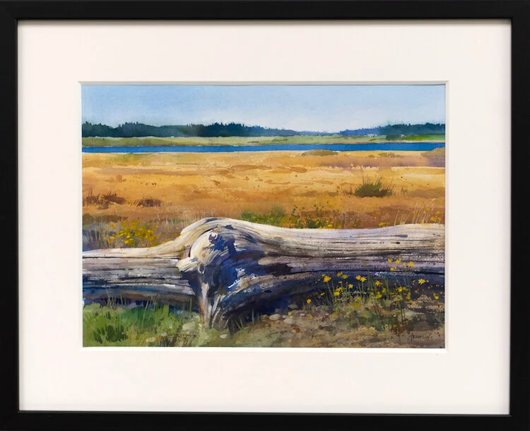 Driftwood Park Framed web.jpeg