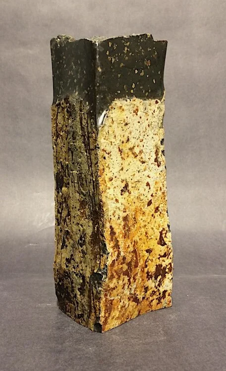 Sympathetic Sidekick 1 web.jpeg