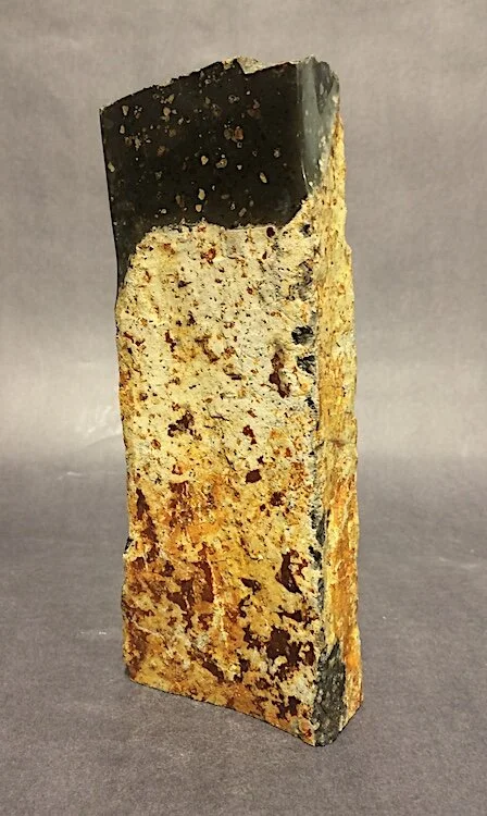 Sympathetic Sidekick 3 web.jpeg