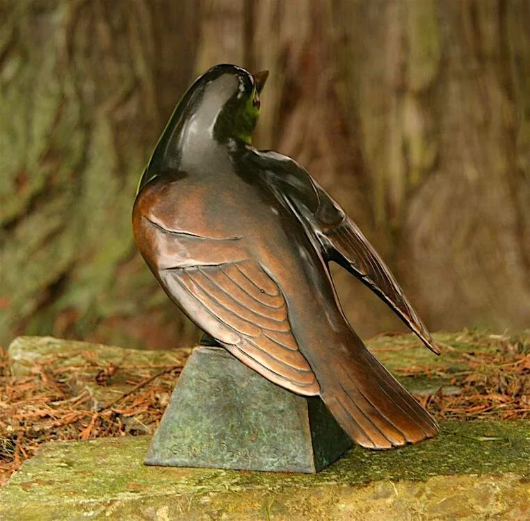 Spring Robin 3 web.jpeg