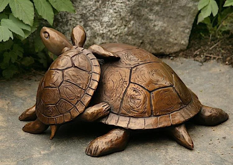 Turtle with Yearling 2 web.jpeg