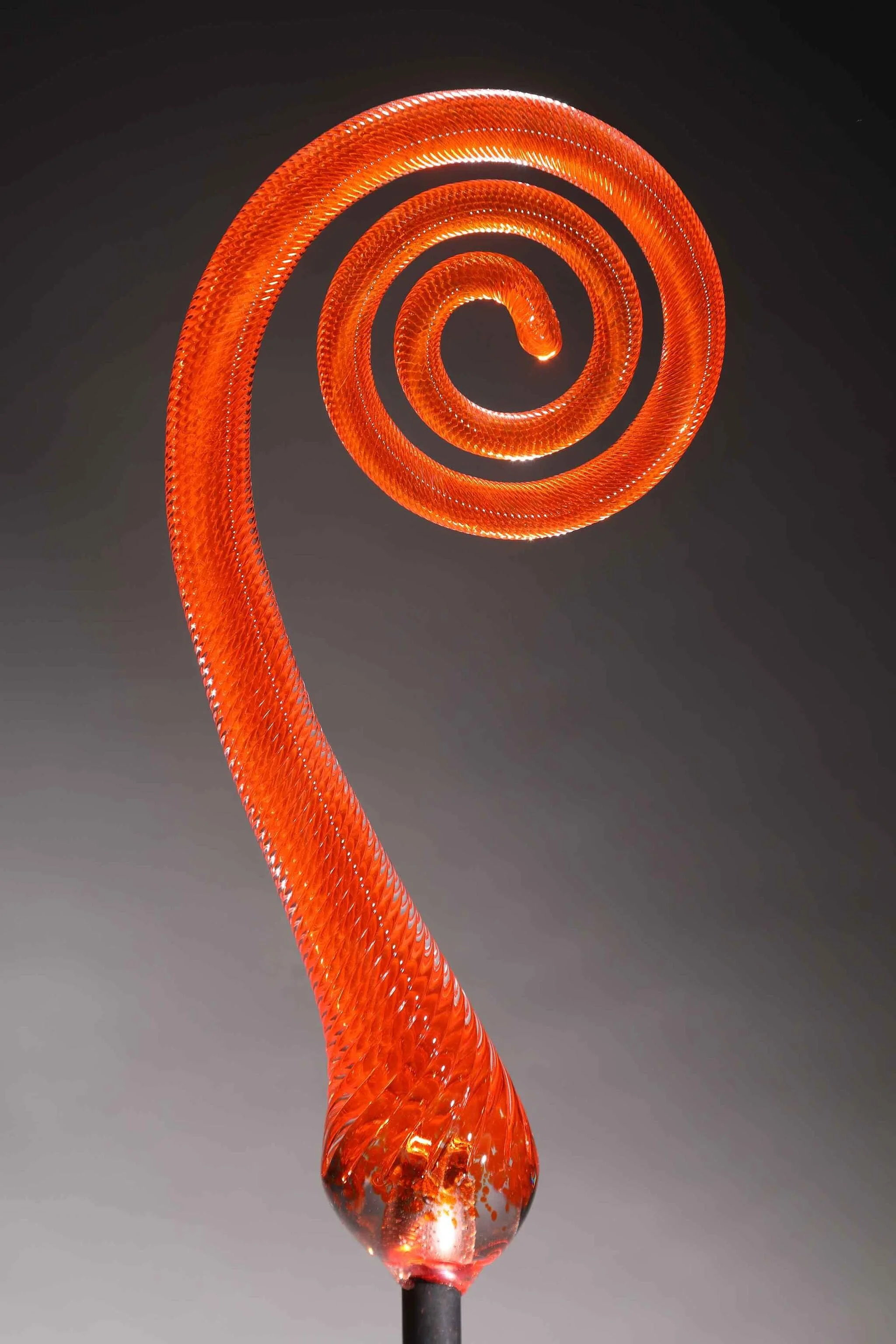 Fern Scroll Orange.jpeg