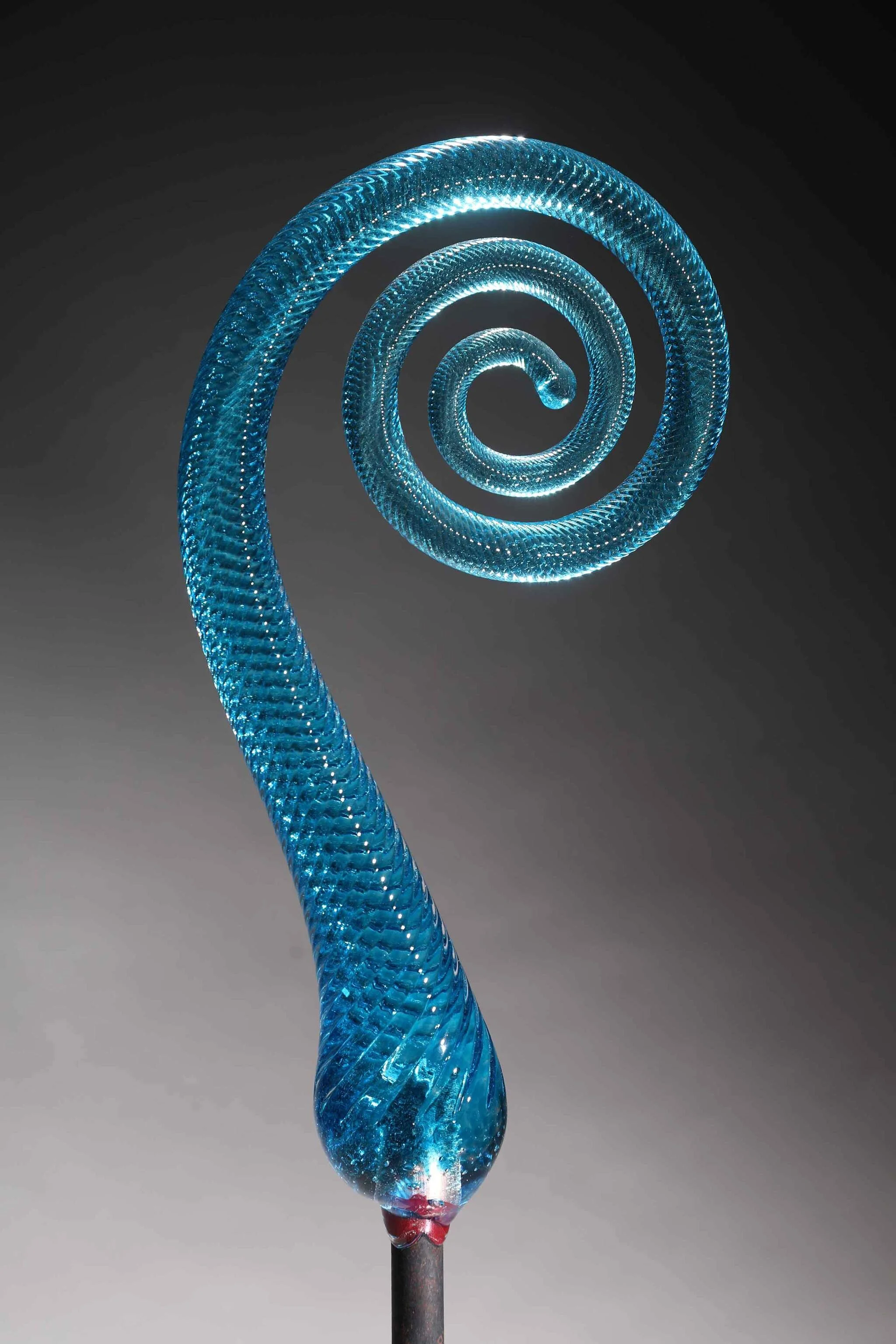 Fern Scroll Teal.jpeg
