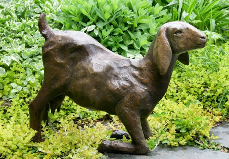 Nubian-Goat-2011-3 - web.jpg